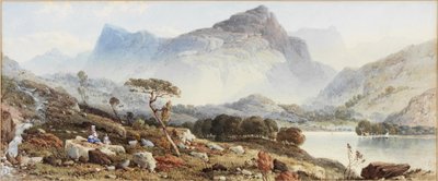 Vista vicino a Dolgelly da Aaron Edwin Penley